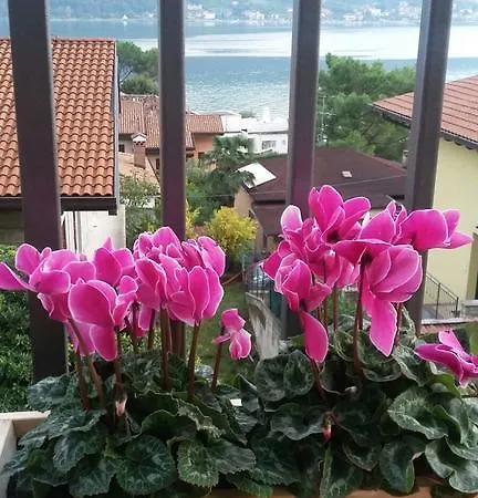 La Terrazza Sul Lago Lägenhet Sarnico